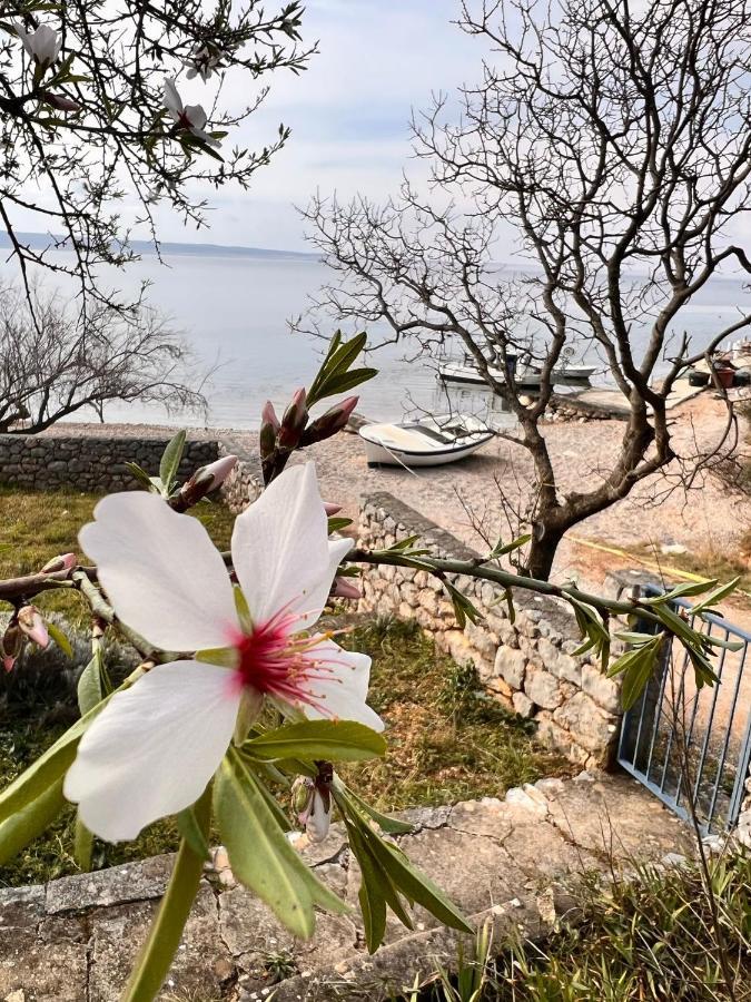 Apartmani Tin Starigrad Exterior photo